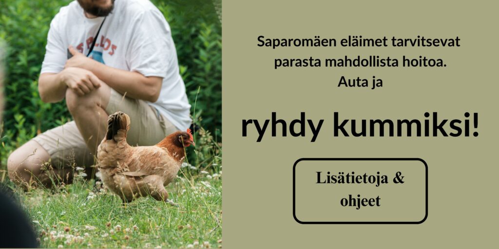 banneri, jossa kuvassa ihminen ja kana